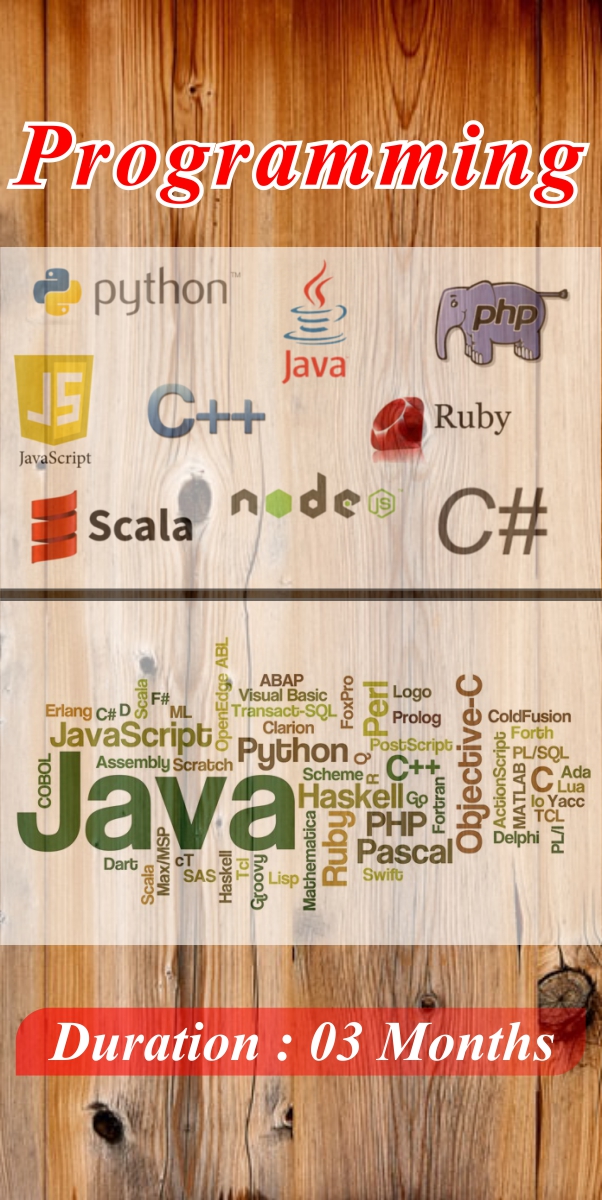 PROGRAMMING
